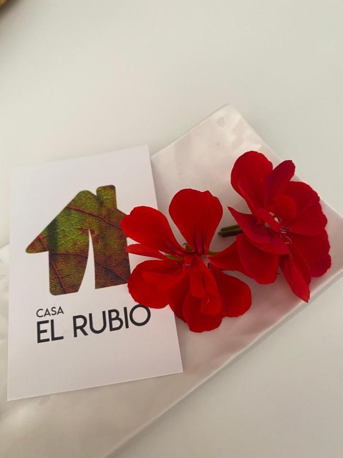Vila Casa El Rubio San Vicente de la Sonsierra Exteriér fotografie